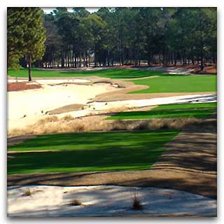 Hole #17