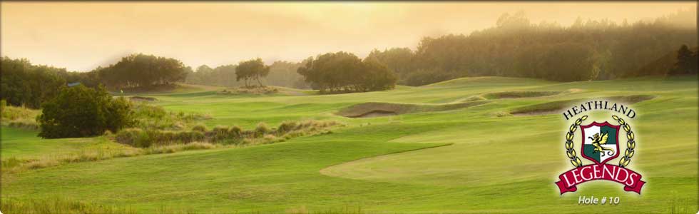Heathland #6