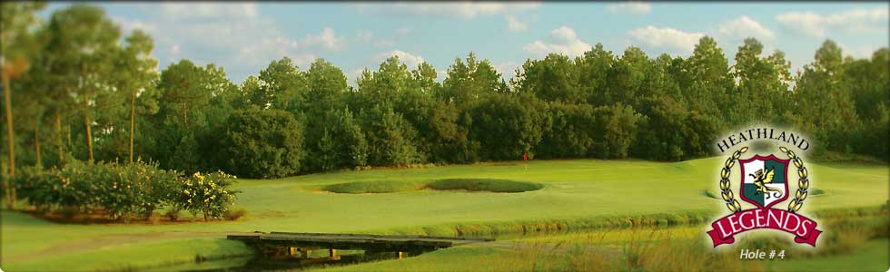 Heathland #4