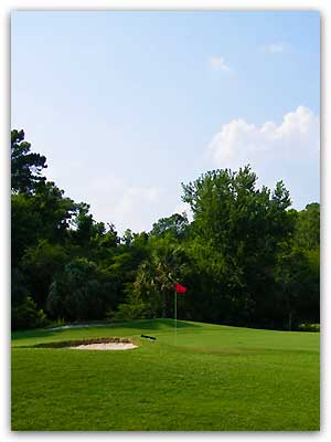 Hole #8