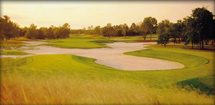 Hole # 11