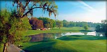 Wilbrook # 5
